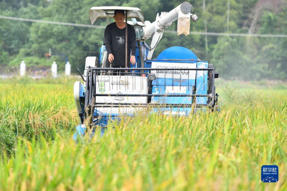 PG电子游戏官网